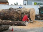 The July 4th logging show always draws a big crowd in Wrangell